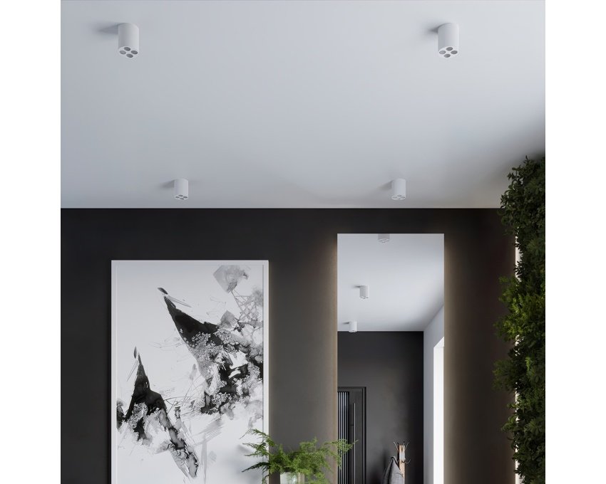 Lubinis šviestuvas ZOE white LED