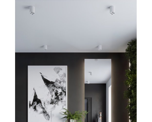 Lubinis šviestuvas ZOE white LED