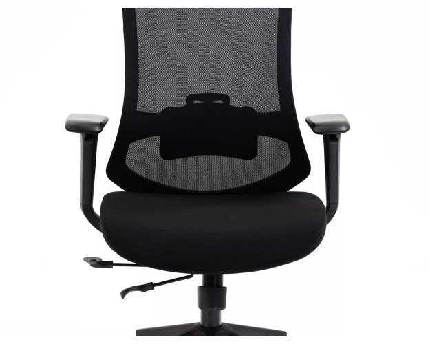 Ergonomiškas pasukamas biuro fotelis su galvos ir juosmens atrama