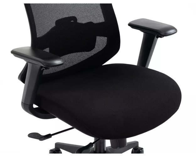 Ergonomiškas pasukamas biuro fotelis su galvos ir juosmens atrama