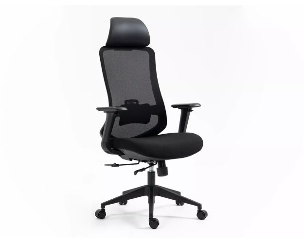 Ergonomiškas pasukamas biuro fotelis su galvos ir juosmens atrama