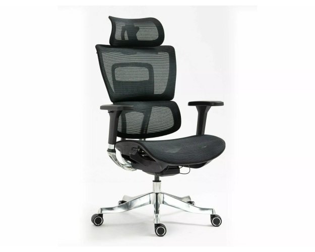 Ergonomiška biuro kėdė su sinchroniniu mechanizmu – juodas tinklelis