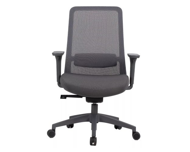 Ergonominis sukamas biuro fotelis su tinkline nugarėle | 3D porankiai